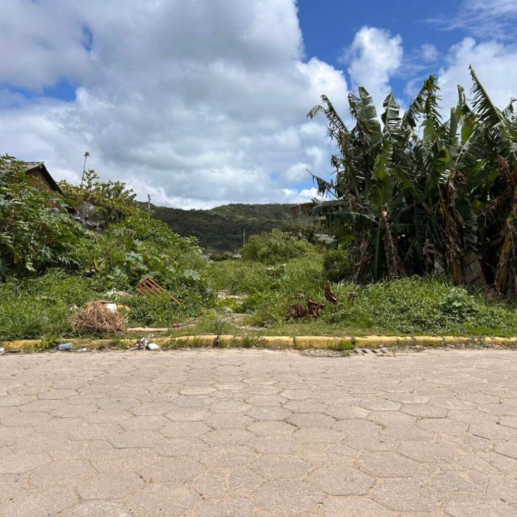 Terreno – V26